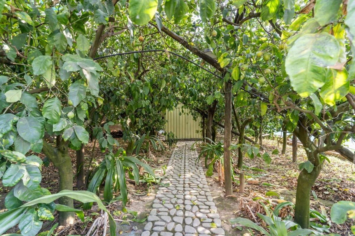Villa Mimosa Rustic Elegance Views & Pool Масса-Лубренсе Екстер'єр фото